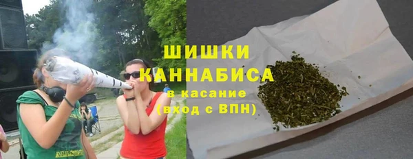 ПСИЛОЦИБИНОВЫЕ ГРИБЫ Алексин