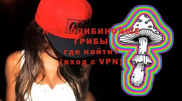 ПСИЛОЦИБИНОВЫЕ ГРИБЫ Алексин