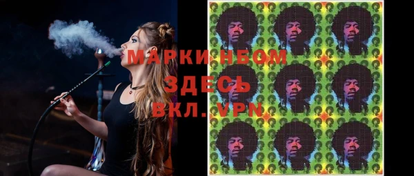 ПСИЛОЦИБИНОВЫЕ ГРИБЫ Алексин