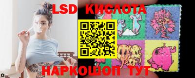 гашик Можга