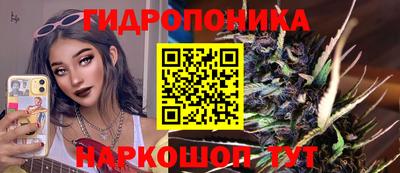гашик Можга