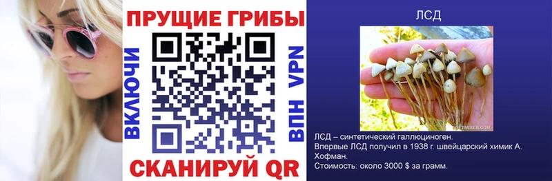 Псилоцибиновые грибы Cubensis  магазин продажи наркотиков  Евпатория 