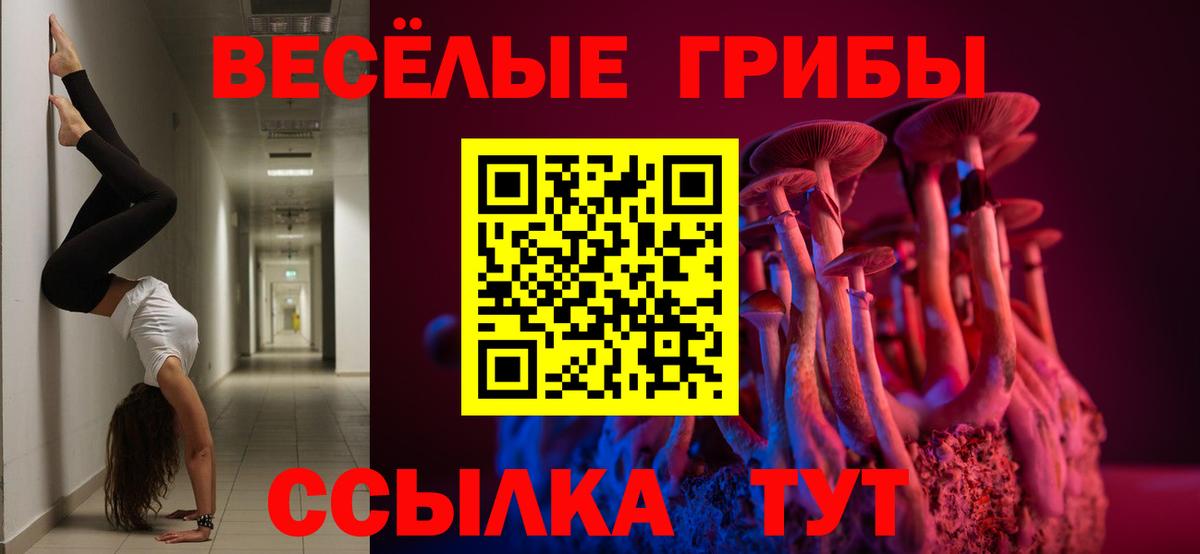 Галлюциногенные грибы мицелий  Вход с VPN  Псилоцибиновые грибы мицелий  Евпатория 